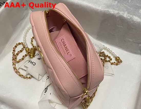 Chanel Camera Bag in Pink Grained Calfskin Replica