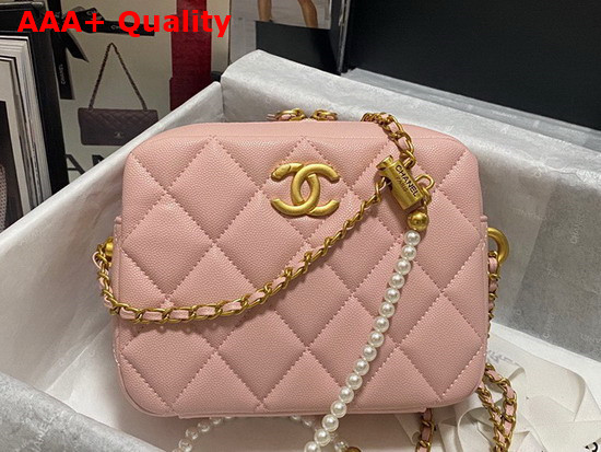 Chanel Camera Bag in Pink Grained Calfskin Replica