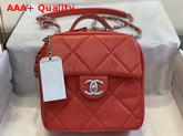 Chanel Camera Case Calfskin and Silver Tone Metal Red AS1323 Replica