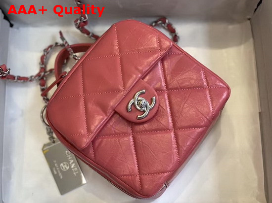 Chanel Camera Case Calfskin and Silver Tone Metal Rose AS1323 Replica