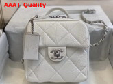 Chanel Camera Case Calfskin and Silver Tone Metal White AS1323 Replica