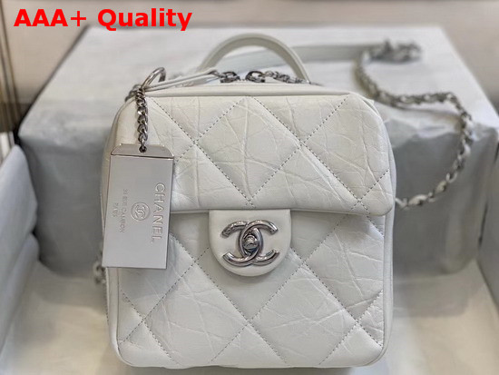 Chanel Camera Case Calfskin and Silver Tone Metal White AS1323 Replica