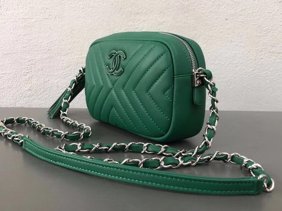 Chanel Camera Case in Green