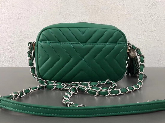 Chanel Camera Case in Green