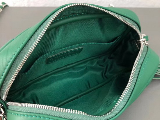 Chanel Camera Case in Green