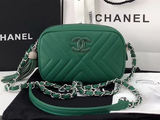 Chanel Camera Case in Green