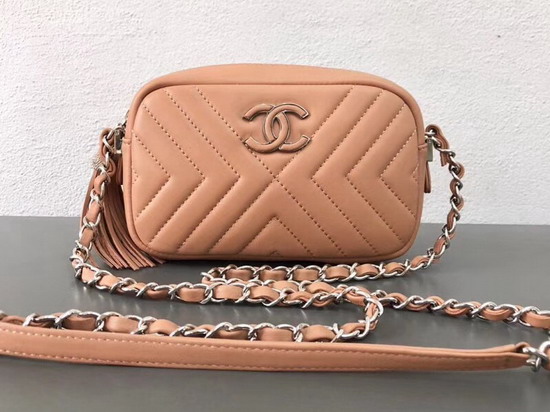 Chanel Camera Case in Pink