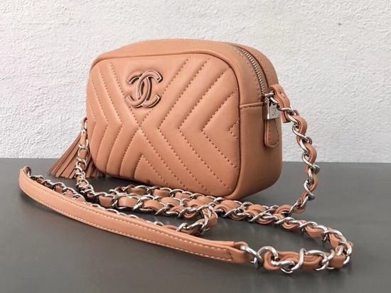 Chanel Camera Case in Pink