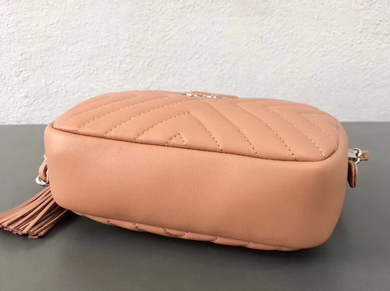 Chanel Camera Case in Pink