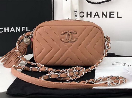 Chanel Camera Case in Pink