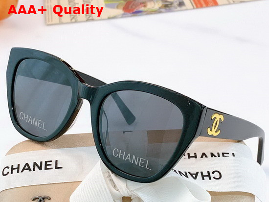 Chanel Cat Eye Sunglasses in White Acetate Replica