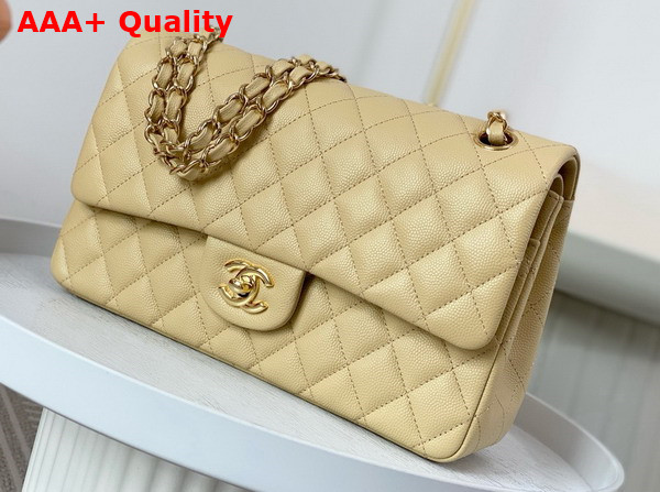 Chanel Classic 11 12 Handbag in Beige Shiny Grained Calfskin Gold Tone Metal Ref A01112 Replica