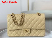 Chanel Classic 11 12 Handbag in Beige Shiny Grained Calfskin Gold Tone Metal Ref A01112 Replica