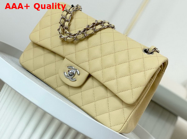 Chanel Classic 11 12 Handbag in Beige Shiny Grained Calfskin Silver Tone Metal Ref A01112 Replica