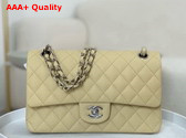 Chanel Classic 11 12 Handbag in Beige Shiny Grained Calfskin Silver Tone Metal Ref A01112 Replica