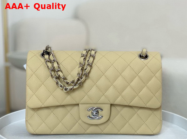 Chanel Classic 11 12 Handbag in Beige Shiny Grained Calfskin Silver Tone Metal Ref A01112 Replica