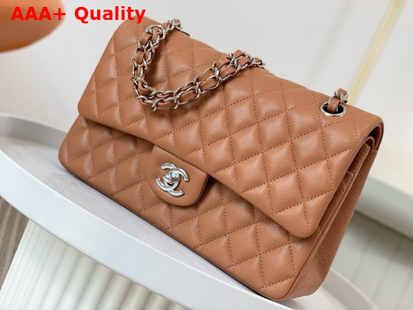 Chanel Classic 11 12 Handbag in Brown Shiny Grained Calfskin Silver Tone Metal Ref A01112 Replica