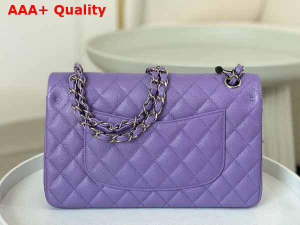 Chanel Classic 11 12 Handbag in Lilac Shiny Grained Calfskin Silver Tone Metal Ref A01112 Replica