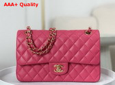 Chanel Classic 11 12 Handbag in Pink Shiny Grained Calfskin Gold Tone Metal Ref A01112 Replica