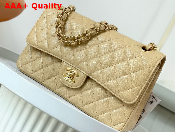 Chanel Classic Flap Bag in Beige Grained Calfskin Gold Tone Metal Replica