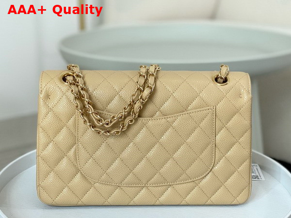 Chanel Classic Flap Bag in Beige Grained Calfskin Gold Tone Metal Replica