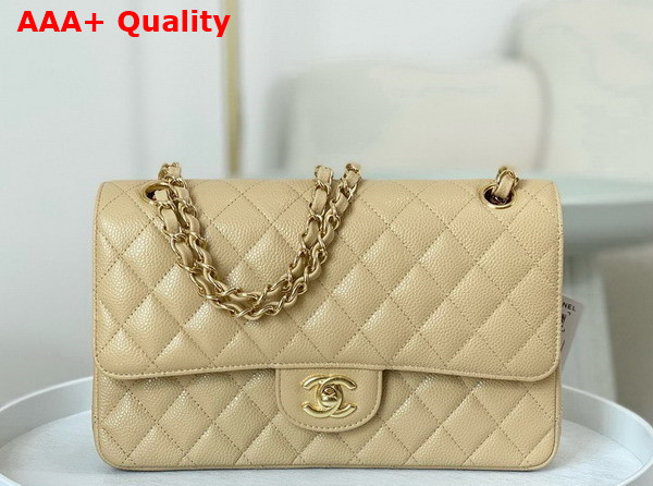 Chanel Classic Flap Bag in Beige Grained Calfskin Gold Tone Metal Replica