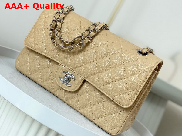 Chanel Classic Flap Bag in Beige Grained Calfskin Silver Tone Metal Replica