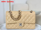 Chanel Classic Flap Bag in Beige Grained Calfskin Silver Tone Metal Replica