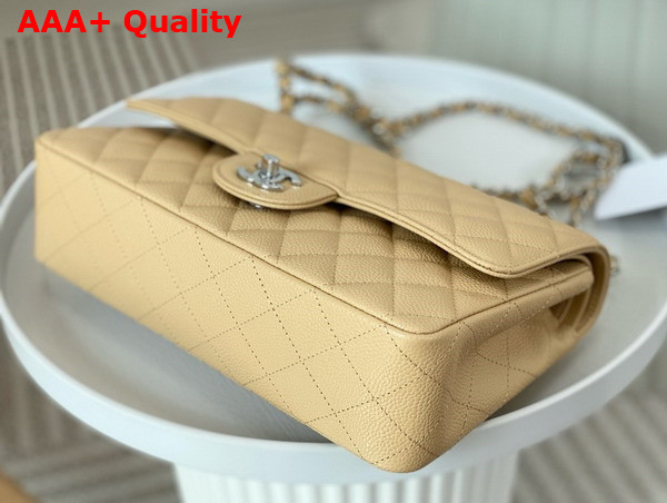 Chanel Classic Flap Bag in Beige Grained Calfskin Silver Tone Metal Replica