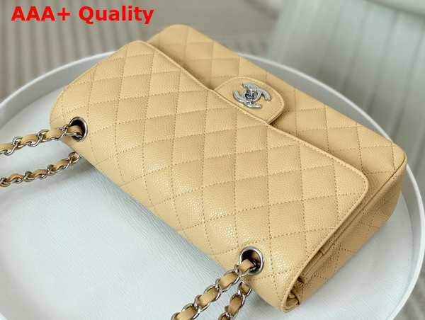 Chanel Classic Flap Bag in Beige Grained Calfskin Silver Tone Metal Replica