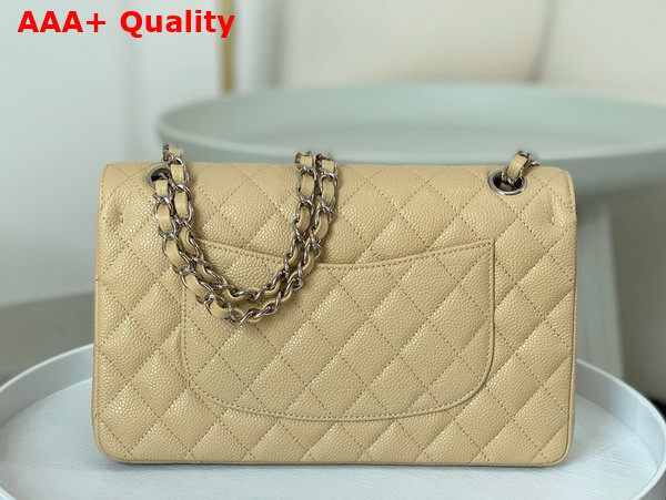 Chanel Classic Flap Bag in Beige Grained Calfskin Silver Tone Metal Replica