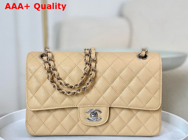 Chanel Classic Flap Bag in Beige Grained Calfskin Silver Tone Metal Replica