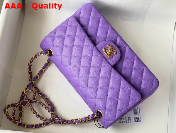 Chanel Classic Flap Bag in Light Purple Grained Calfskin with Gold Tone Metal Replica