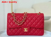 Chanel Classic Flap Bag in Red Grained Calfskin Gold Tone Metal Replica