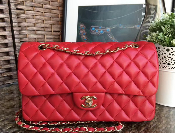 Chanel Classic Flap Bag in Red Lambskin with Gold Hardware For Sale