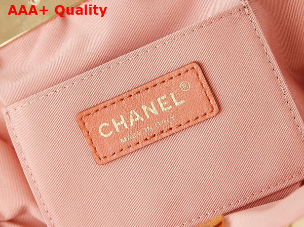 Chanel Clutch in Coral Lambskin Gold Tone Metal AS4717 Replica