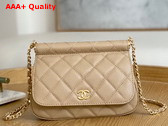 Chanel Clutch with Chain Beige Grained Calfskin Gold Tone Metal Replica