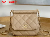 Chanel Clutch with Chain Grained Calfskin Gold Tone Metal Beige Ref AP3004 Replica