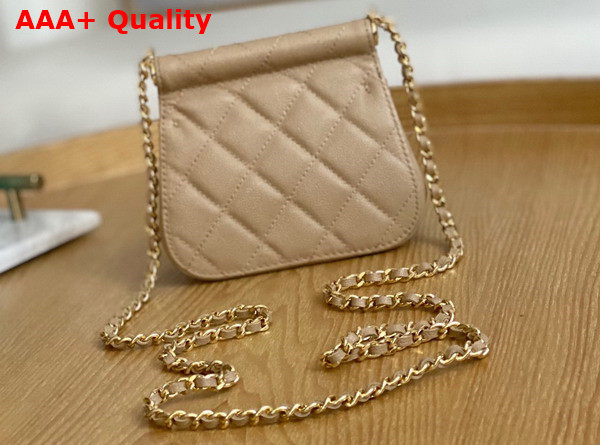 Chanel Clutch with Chain Grained Calfskin Gold Tone Metal Beige Ref AP3004 Replica