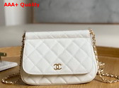 Chanel Clutch with Chain White Grained Calfskin Gold Tone Metal Replica