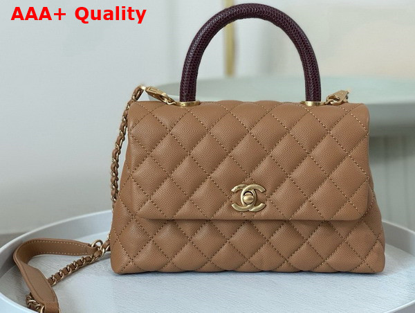 Chanel Coco Handle Bag in Dark Beige Grained Calfskin with Lizard Top Handle Replica