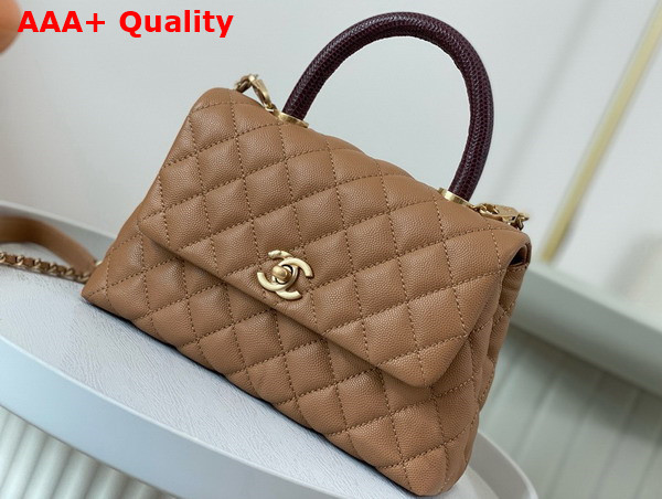 Chanel Coco Handle Bag in Dark Beige Grained Calfskin with Lizard Top Handle Replica