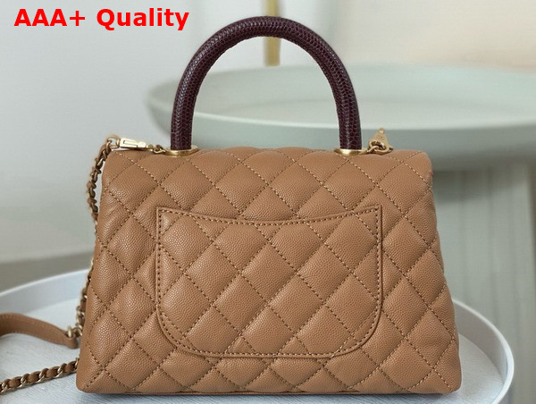 Chanel Coco Handle Bag in Dark Beige Grained Calfskin with Lizard Top Handle Replica