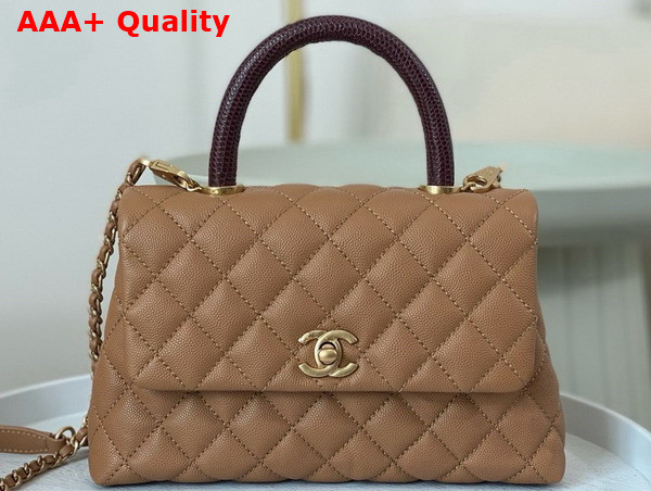 Chanel Coco Handle Bag in Dark Beige Grained Calfskin with Lizard Top Handle Replica