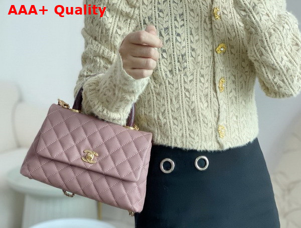 Chanel Coco Handle Bag in Dusty Pink Grained Calfskin with Lizard Top Handle Replica