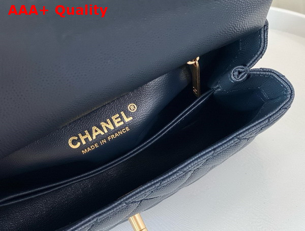 Chanel Coco Handle Bag in Navy Blue Grained Calfskin with Lizard Top Handle Replica