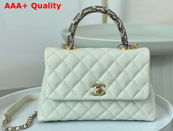 Chanel Coco Handle Bag in White Grained Calfskin with Python Handle Replica