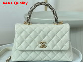 Chanel Coco Handle Bag in White Grained Calfskin with Python Handle Replica