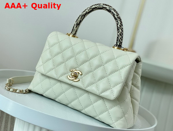 Chanel Coco Handle Bag in White Grained Calfskin with Python Handle Replica