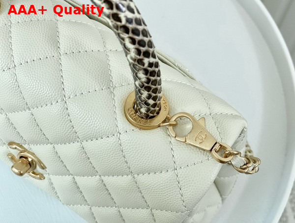 Chanel Coco Handle Bag in White Grained Calfskin with Python Handle Replica